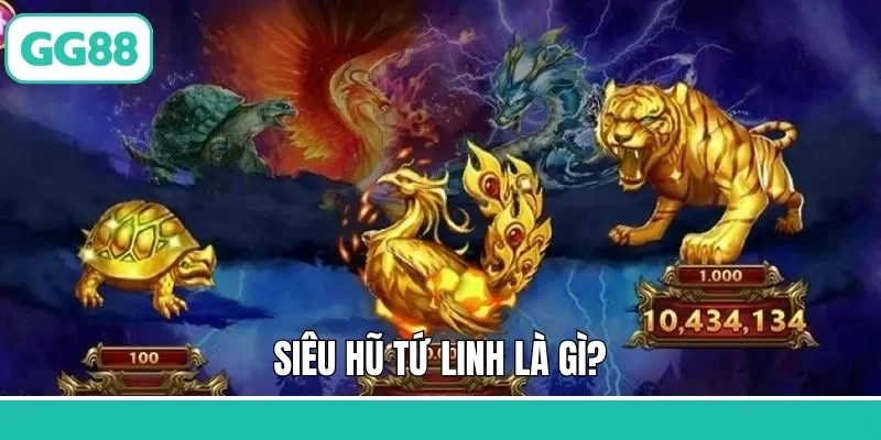Siêu hũ tứ linh là gì?